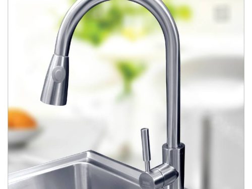 Vòi rửa Giovani GF-204 DS