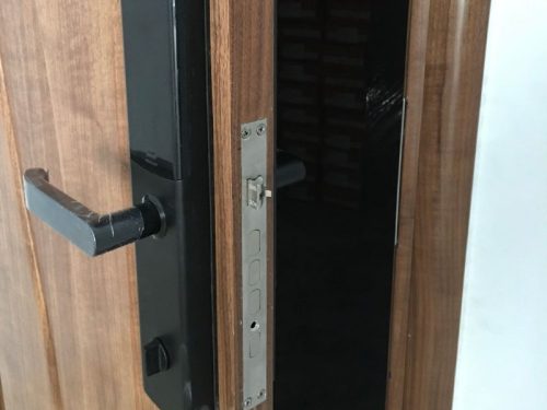 Ảnh khóa vân tay thông minh GIOVANI GSL-U801B